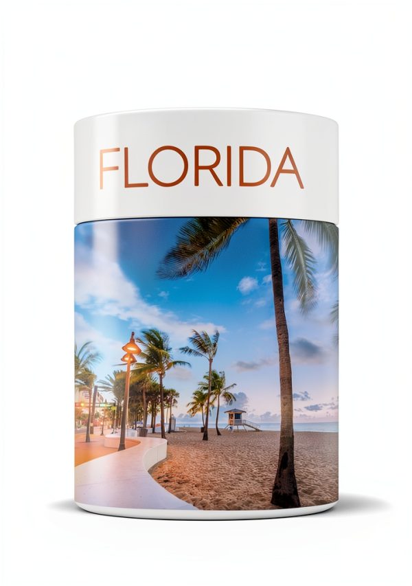 DK Travel South Atlantic US Travel Atlas Kindle Edition-0